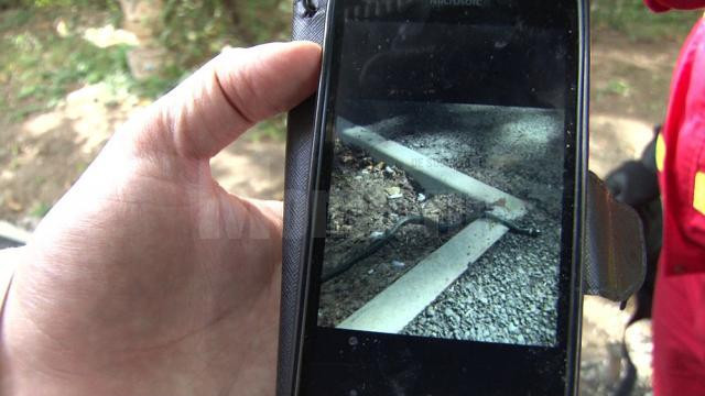 Panică în Suceava, după ce un șarpe a apărut în mijlocul unui grup de copii