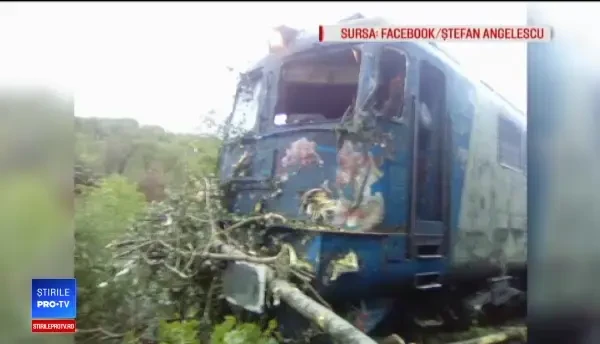 Mecanicul trenului Bucureşti-Baia Mare a curăţat şina cu drujba. Reacţia pasagerilor