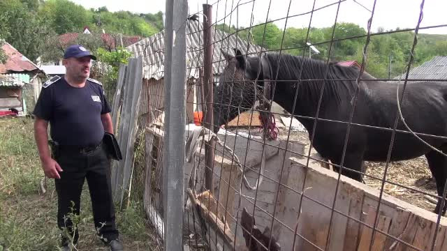 Un băcăuan şi-a torturat calul sub ochii vecinilor. Poliţia nu îi poate confisca animalul