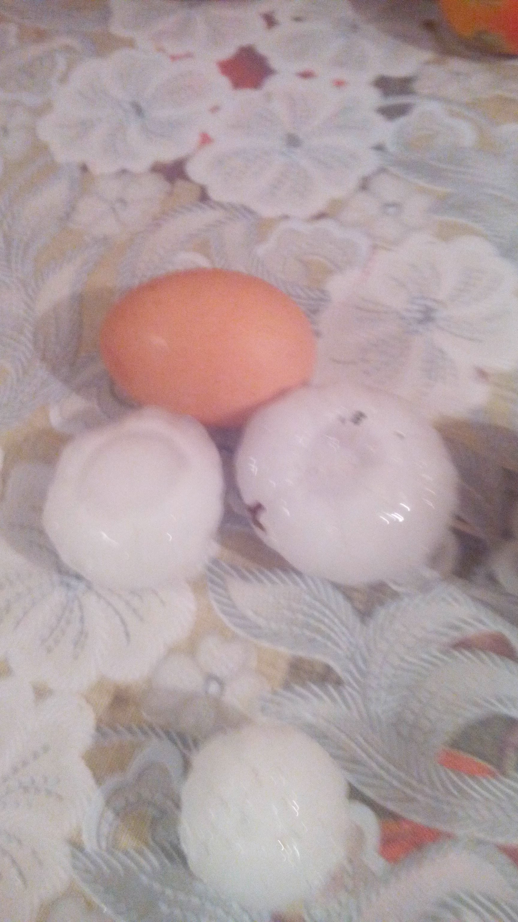 romania, furtuni, gheata, comarnic, breaza, prahova, buzau,