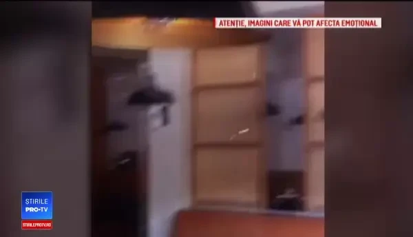 Moment viral după cutremurul din Mexic. Reacția oamenilor când un Golden Retriever este salvat. VIDEO