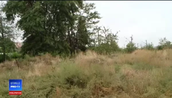 Un copil de 12 ani, din Iași, ar fi fost ucis de etnobotanice. Cum a fost găsit