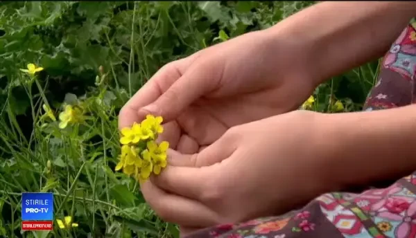 50 de irakieni, cazați la Mamaia. De ce vor să plece în Marea Britanie sau Germania