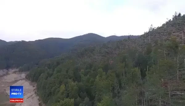 Peste 700 de hectare de pădure, distruse complet de furtunile din ultimele zile. VIDEO din dronă