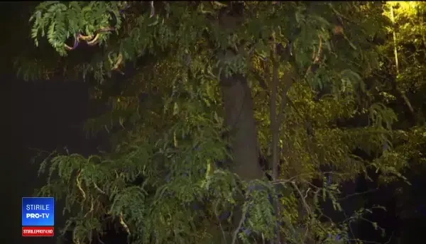 Filmul furtunii din Capitală. Haos în trafic, apoi un oraș pustiu