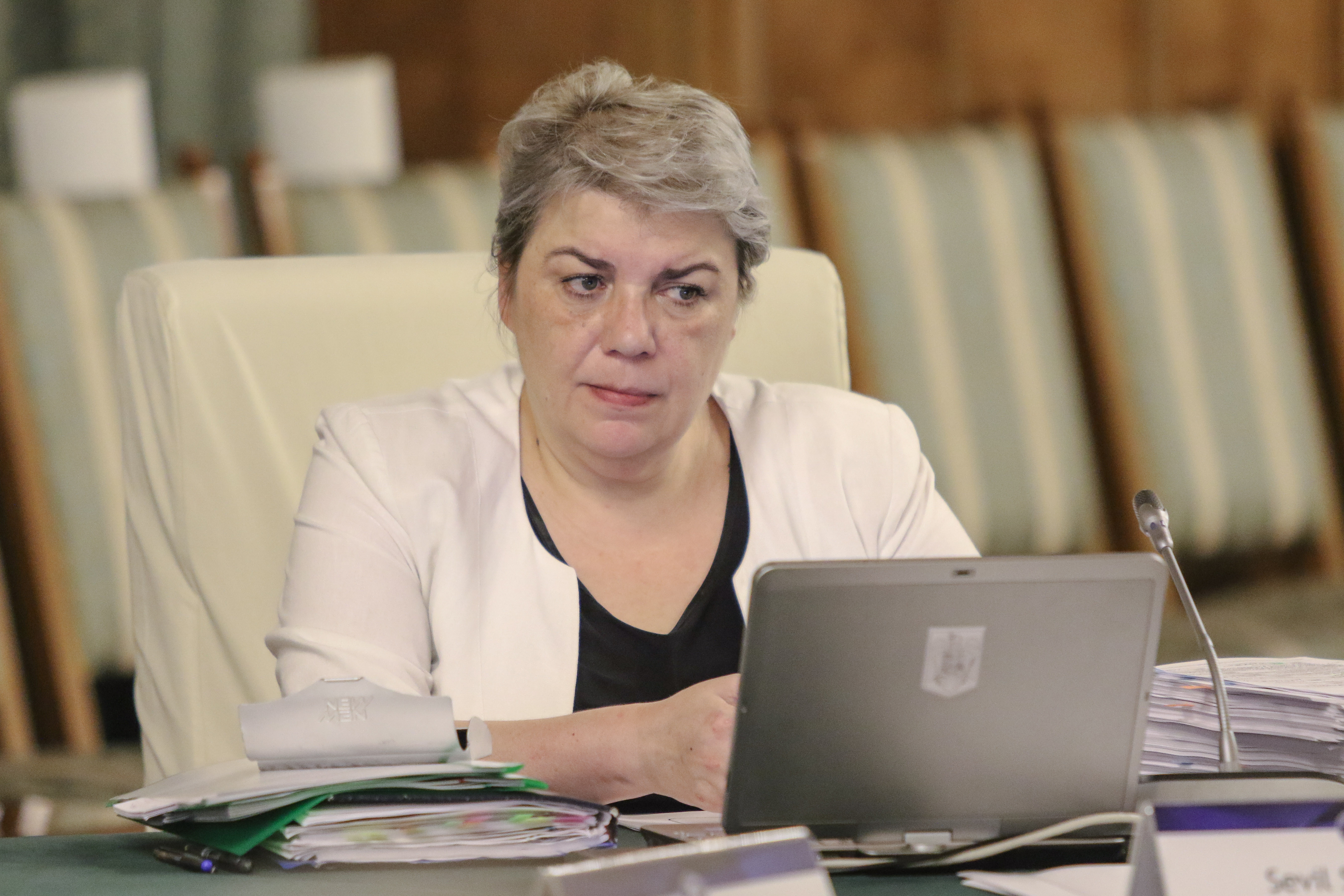 Sevil Shhaideh, audiată în dosarul Belina. ”Permiteți-mi să nu comentez despre Guvern pe scările DNA-ului”