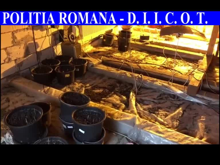 Fost şef al Gărzii de Mediu, prins cultivând canabis. Avea sute de plante