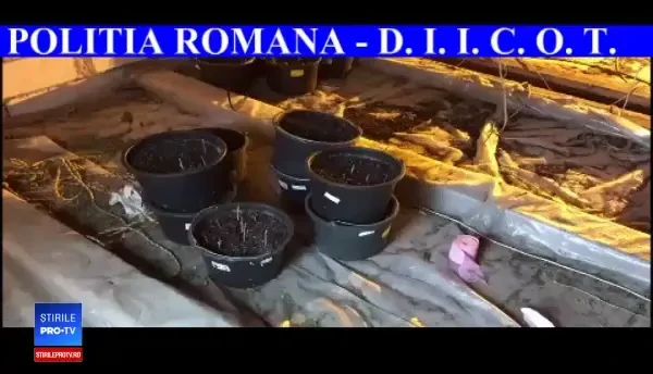 Fost şef al Gărzii de Mediu, prins cultivând canabis. Avea sute de plante