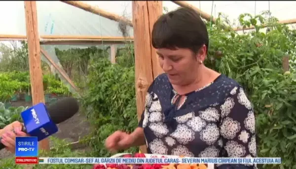 Legumele exotice profitabile pentru producătorii români