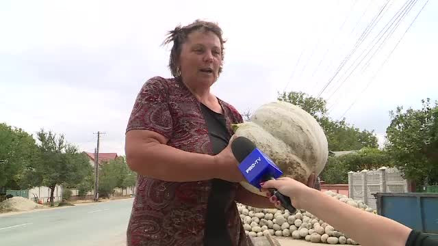 Au luat fonduri europene și și-au transformat satul în ”capitala dovlecilor”