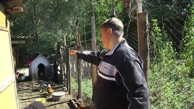 Oraşul Pucioasa, terorizat de atacurile unei ursoaice. Soluţia autorităţilor: "Puneţi clopote"