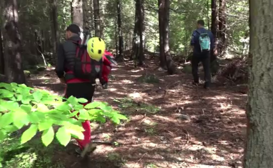 S-a rătăcit în timp ce culegea ciuperci. Ce a reușit să transmită familiei la telefon