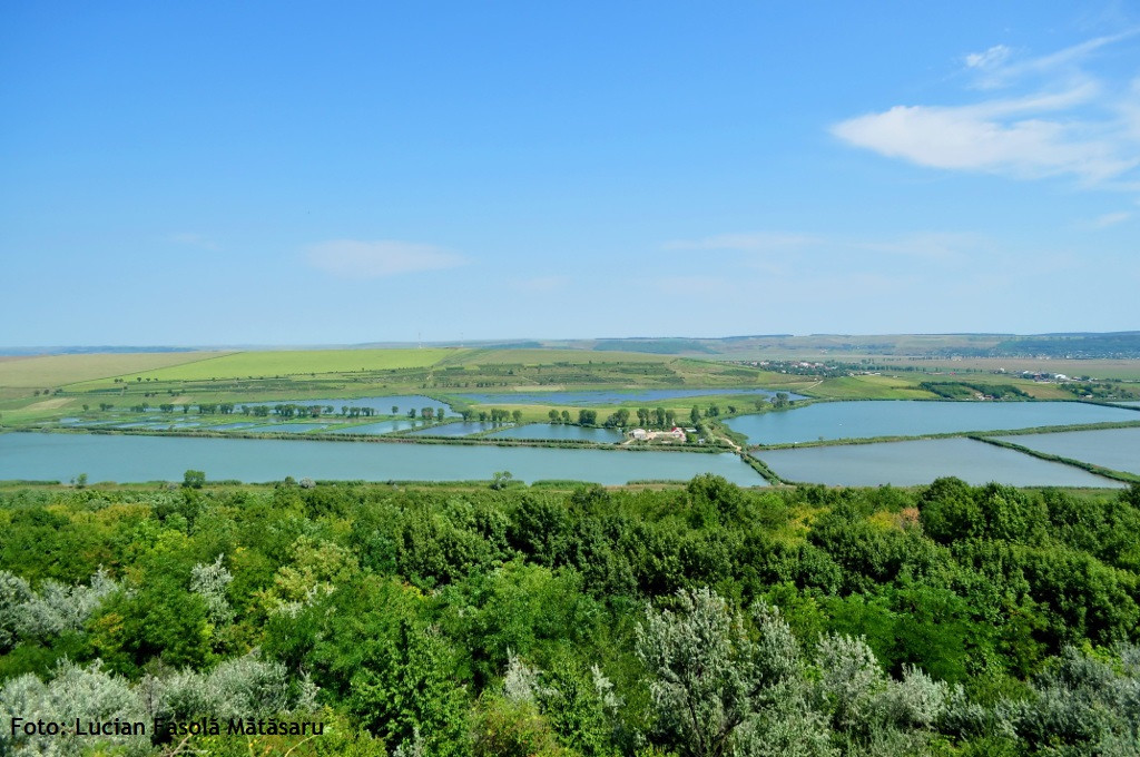 Proiect de peste 2,3 milioane de euro pentru celebra Deltă a Moldovei