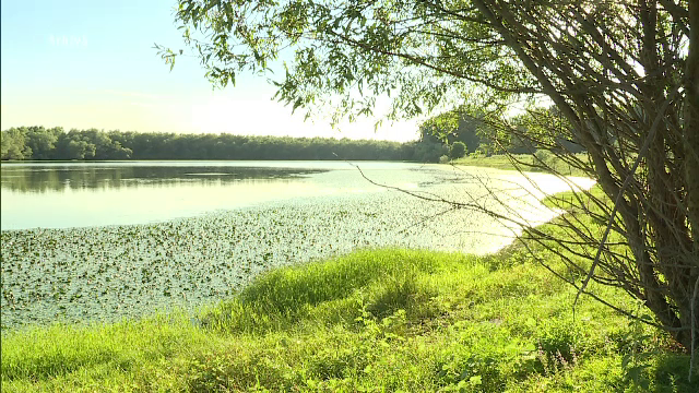 Proiectul lui Șerban Nicolae prin care insula Belina ar ajunge un paradis fiscal: "Ce e ilegal în asta?"