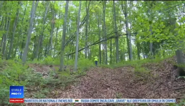 O pădure din Dâmboviţa pare a fi blestemată. Doi oameni au murit în nici 2 săptămâni