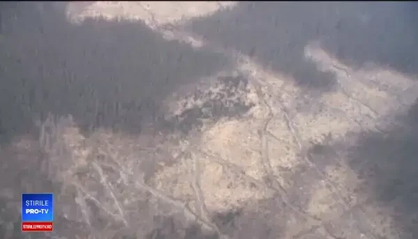 Prima împădurire, un eşec total. Câți agricultori s-au înscris în a doua sesiune