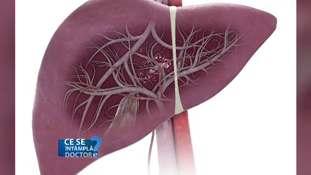 Cei trei factori care distrug iremediabil ficatul