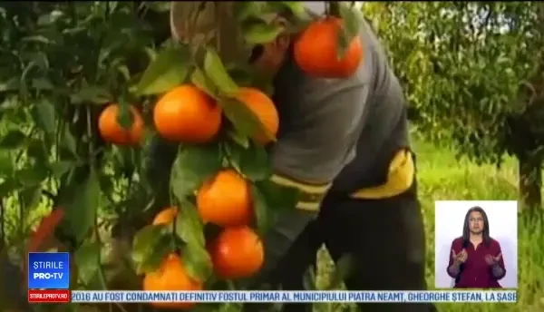 O fetiță de 12 ani a murit după ce a mâncat o mandarină