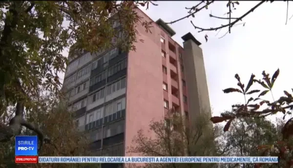 Proiect controversat la Buzău. Ar putea fi limitat numărul de animale de companie