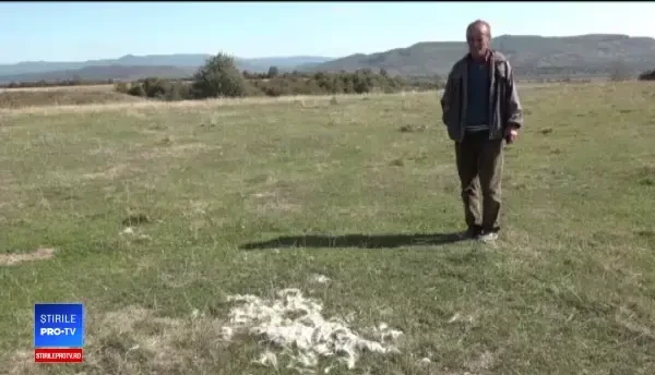 Animale ucise de urșii care coboară în sate, în Mureș. Oamenii au făcute peste 100 de plângeri