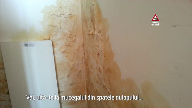 Condiţiile infecte în care trăiesc studenţii, în căminele de stat: "Uită-te cum e mucegaiul"