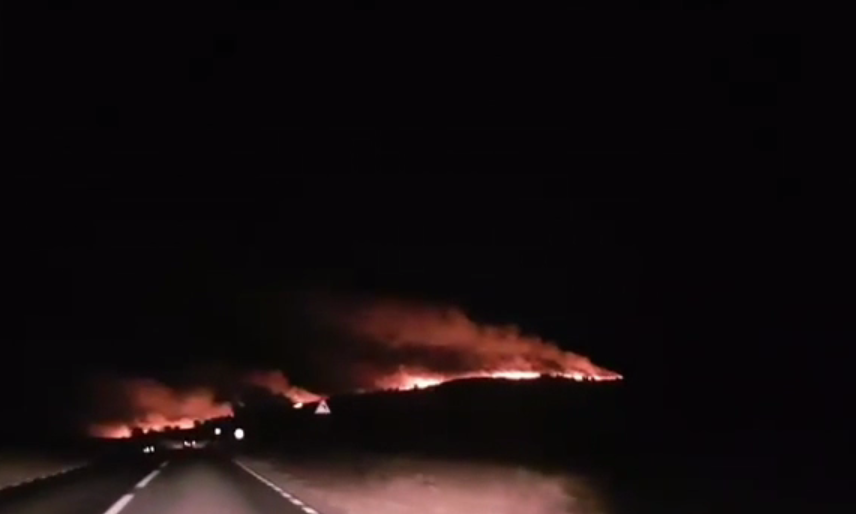 Incendiu uriaș în Tulcea, la 200 de hectare. Focul s-a văzut de la Galați