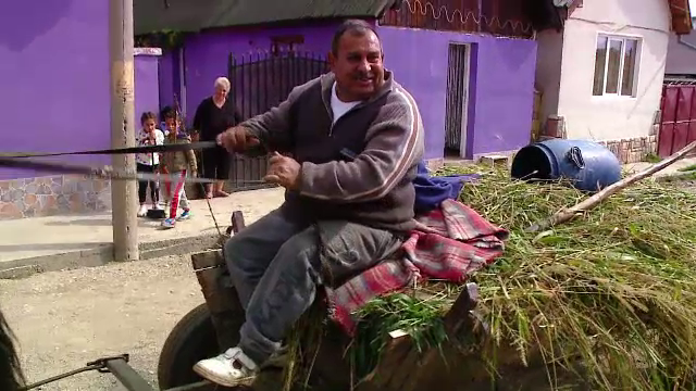 "Sunt bolnav, doamnă". Cum au ajuns pensionarii și angajaţii aflaţi în concediu să facă muncă de zilieri