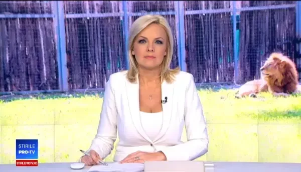 Jucător de rugby, muşcat de mână de un leu. Momentul a fost filmat