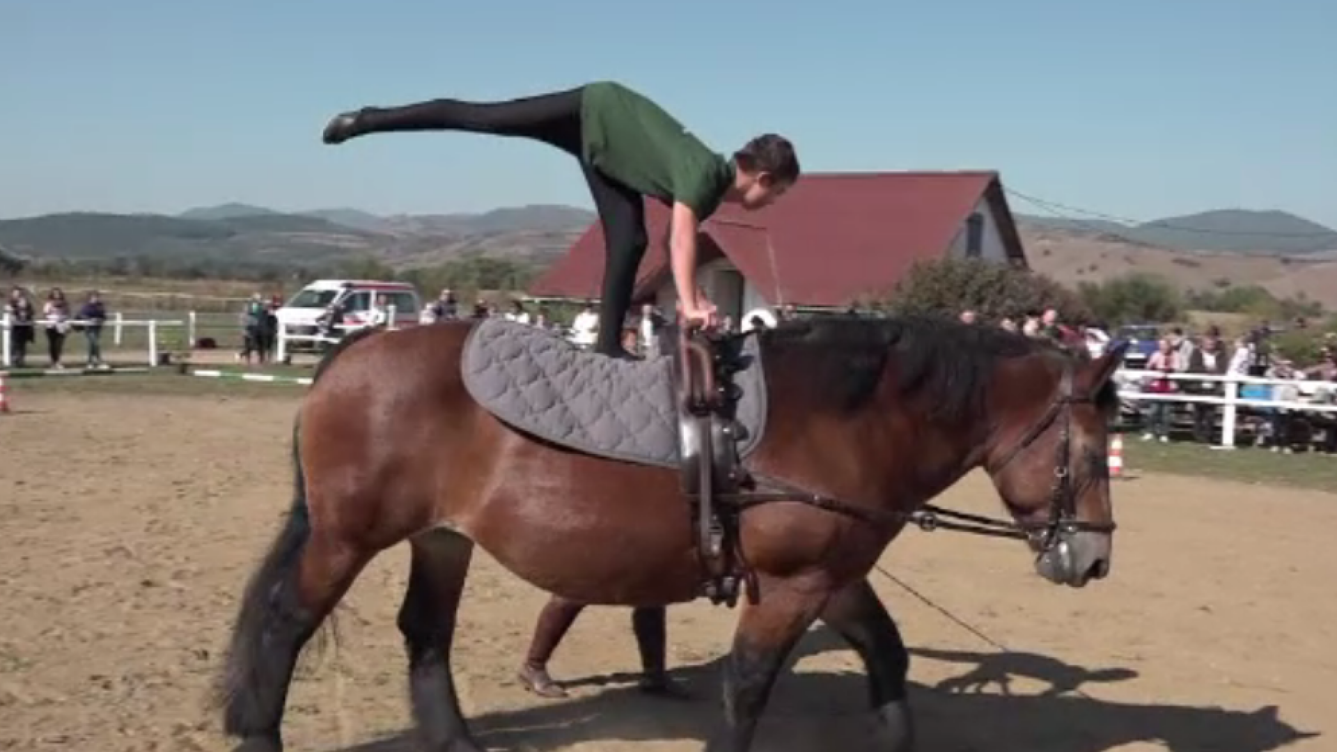 Progrese uimitoare pentru copiii cu autism sau Sindrom Down care fac terapie cu cai
