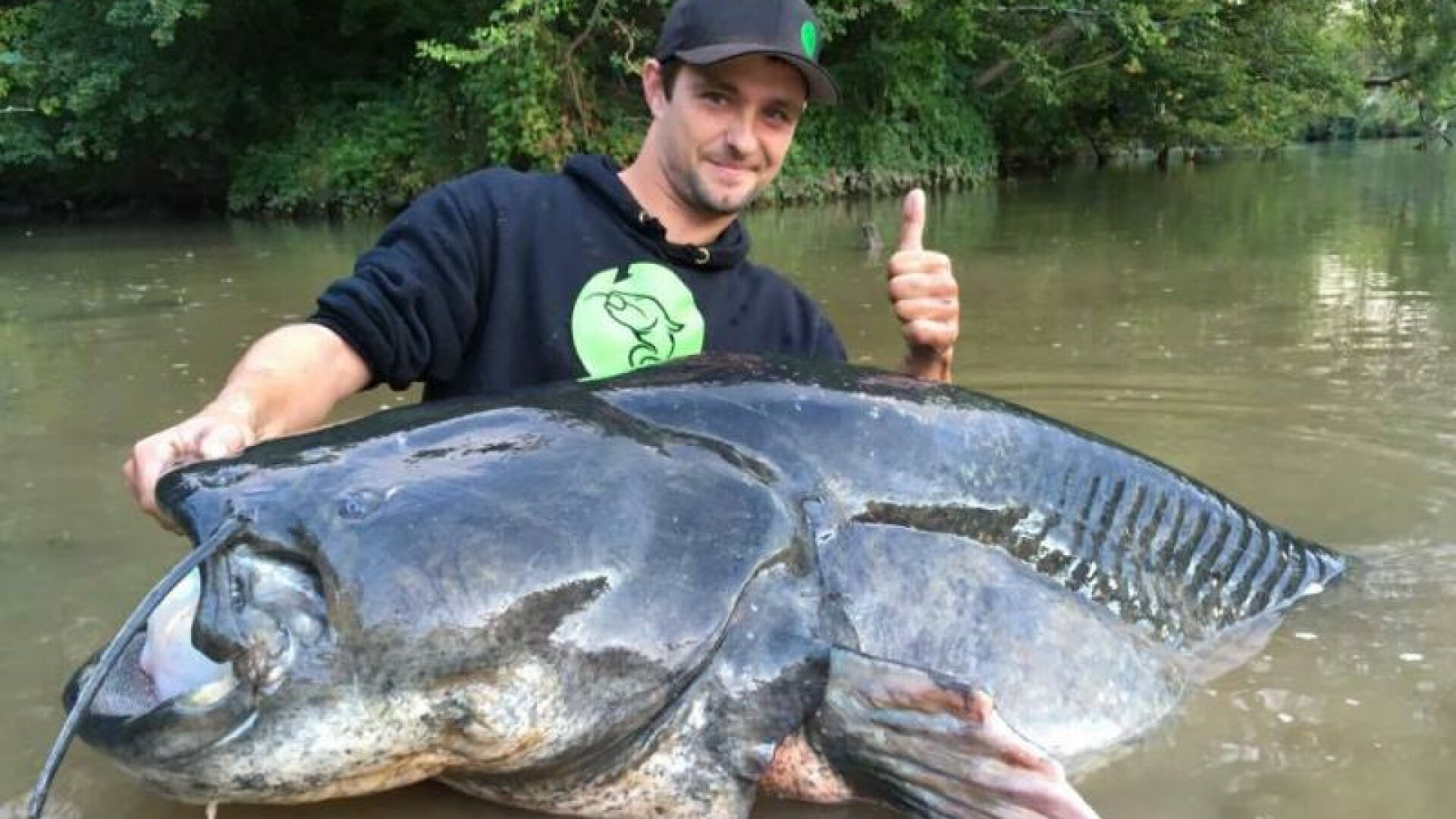 Cel mai mare pește capturat până acum. Record mondial cu un somn de aproape 3 metri. VIDEO