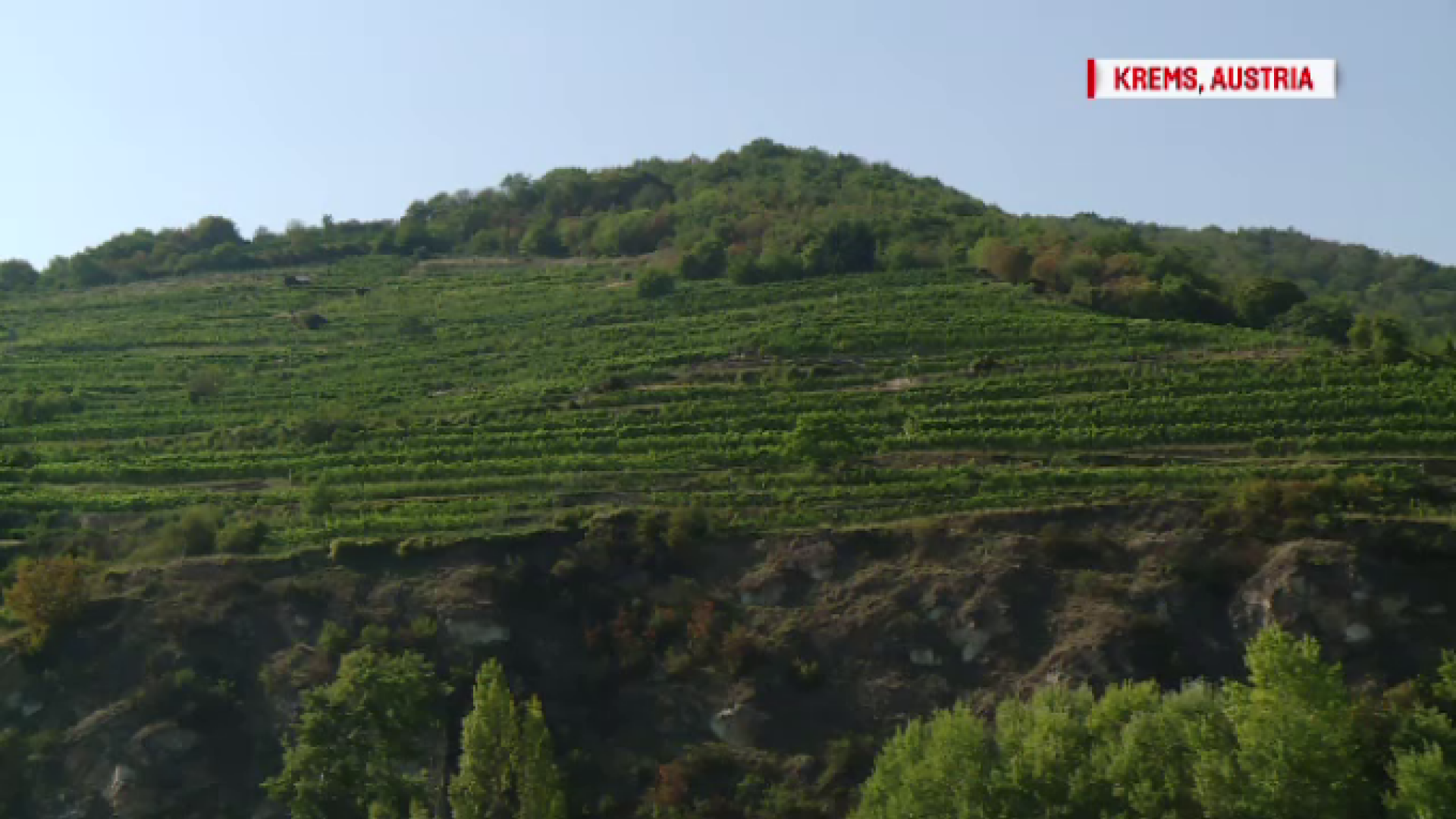 Bani cheltuiţi fara niciun rost si o industrie intreaga distrusă. Porturile de pe Dunare, imaginea dezinteresului total