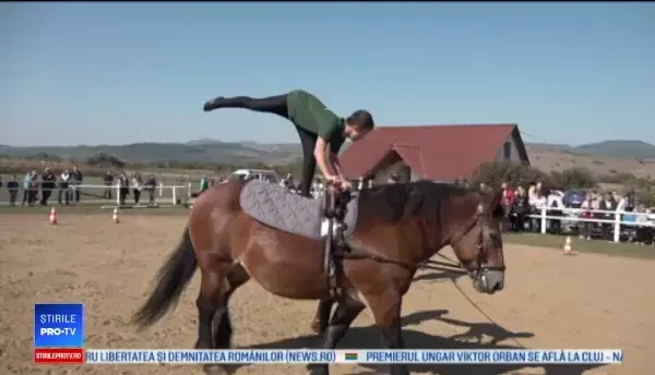 Progrese uimitoare pentru copiii cu autism sau Sindrom Down care fac terapie cu cai