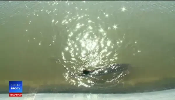 Fermierii români investesc milioane de euro în creşterea de sturioni. Cât costă kilogramul