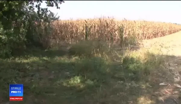 Bărbatul împuşcat în Vrancea ar fi fost confundat cu o căprioară. Când l-au văzut că se zbate au mai tras o dată