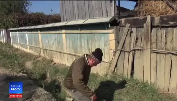 Un copil de 7 ani a murit după ce a mâncat mătrăgună. Cum putea fi salvat