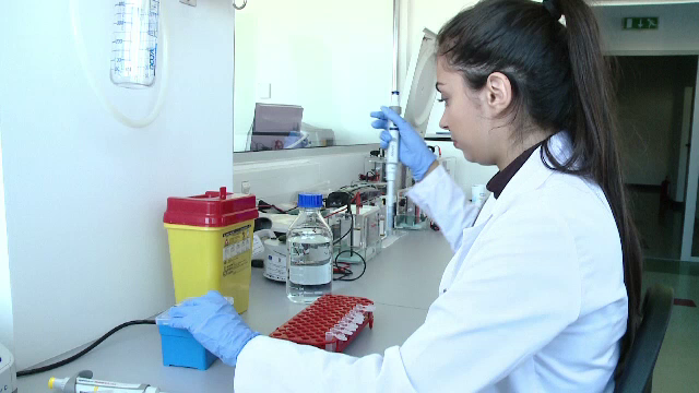 Cercetătorii din Timişoara lucrează la primul vaccin împotriva alergiei la ambrozie