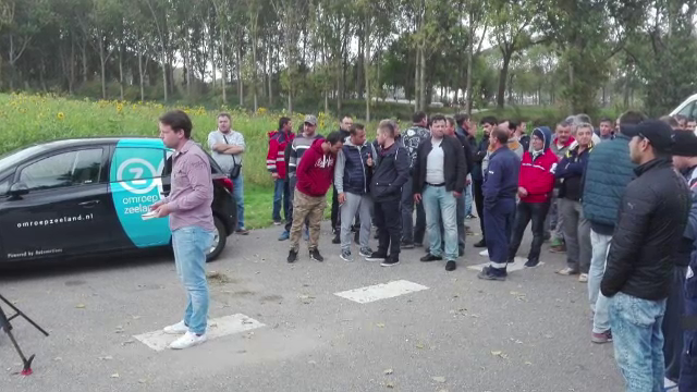 Situaţie disperată pentru 200 de români care lucrează în Olanda. Angajatorul dă vina pe statul român