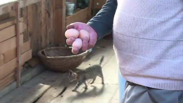 Reacţiile sătenilor care au aflat că Vosganian vrea să le impoziteze ouăle