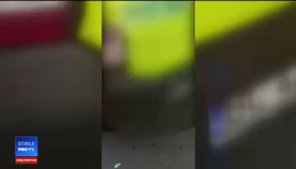 Femeie din Bacău, agresată și amendată pentru că a vrut să ajute un cățel