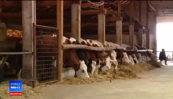 Agricultura tehnologizată, soluție pentru lipsa forței de muncă