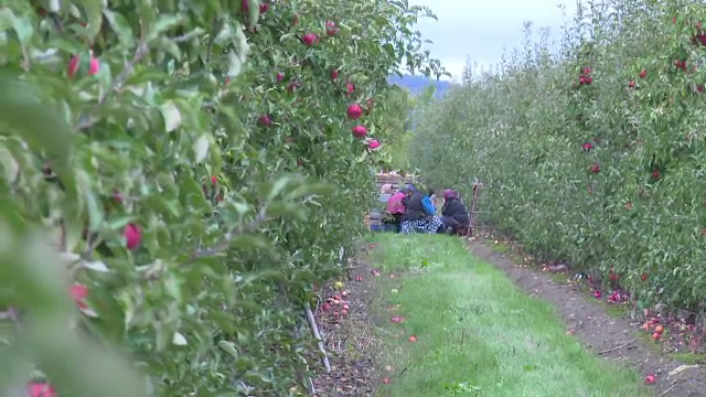 Pensionarii, cei mai serioşi zilieri. Cum reuşeşte statul român să îi motiveze pe asistaţii social să refuze munca