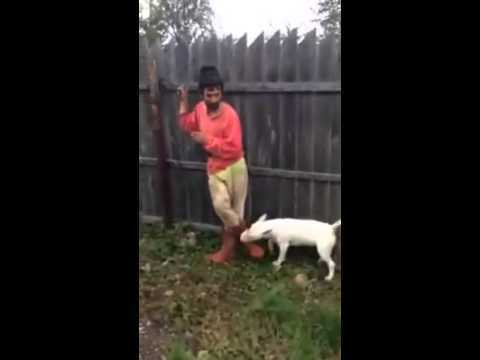 Personajul din clipul ”Cristi, bă, Cristi”, reţinut după ce a condus fără permis