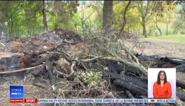 Crimă misterioasă la Bistrița-Năsăud. Un bărbat, dat în urmărire