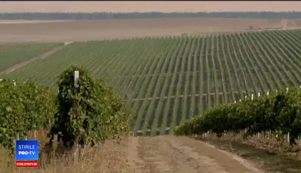 Pensionarii, cei mai serioşi zilieri. Cum reuşeşte statul român să îi motiveze pe asistaţii social să refuze munca