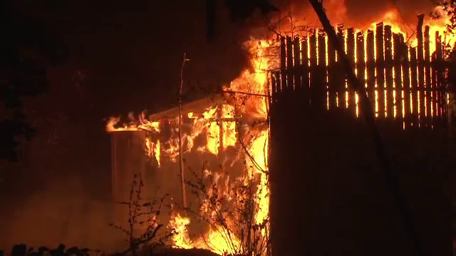 Incendii de vegetație în SUA: cel puțin 11 persoane au murit, iar alte 100 sunt grav rănite