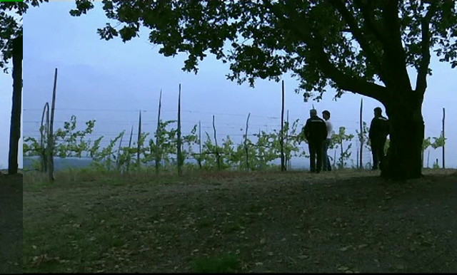 Dispozitivul care ar putea ușura viața viticultorilor