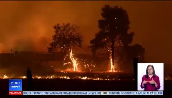 Incendiu de vegetație în California: s-a decretat stare de dezastru major