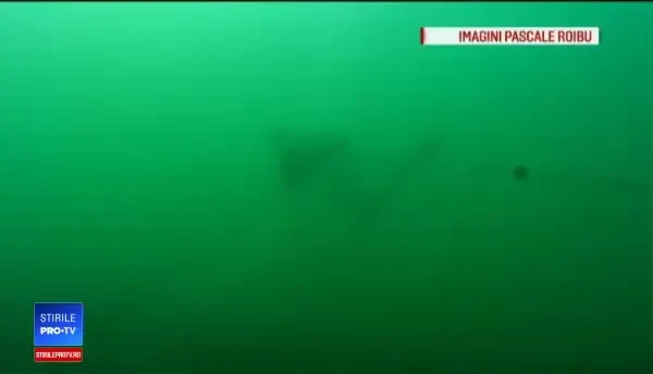 Marea Neagră, recif al mizeriei. Imaginile surprinse de un scafandru în adâncuri