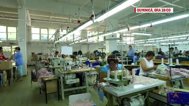 Specialiștii pleacă din țară pentru salarii mai mari. Câtă meserie mai ştiu românii, la ”România, te iubesc!”