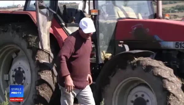 Soluția fermierilor români prin care și-au crescut fulminant vânzările